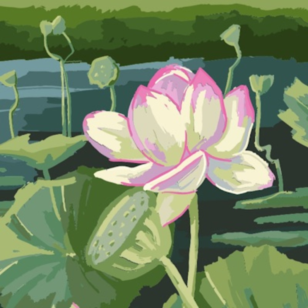 Meet your Posher, Jeanne’